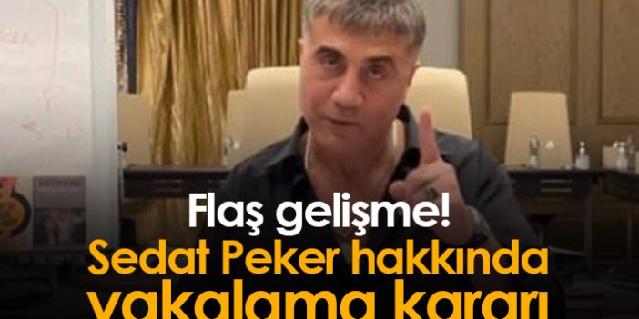 Sedat Peker hakkında yakalama kararı çıkarıldı