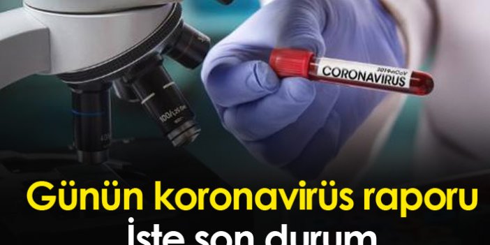 Türkiye'de günün koronavirüs raporu - 27.05.2021