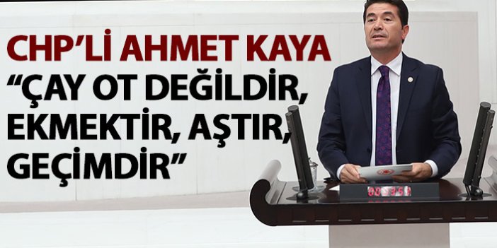CHP'li Ahmet Kaya: Çay ot değil, emektir, aştır, geçimdir