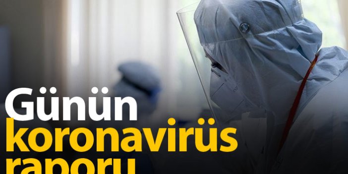 Türkiye'de günün koronavirüs raporu - 02.06.2021