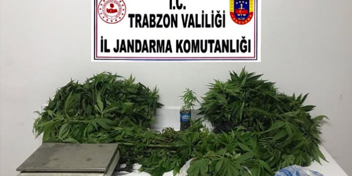Trabzon’da uyuşturucu operasyonu! Hem yapıyor hem de satıyorlardı
