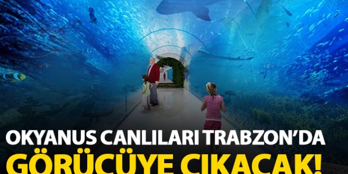 Okyanus canlıları Trabzon'a gelecek!
