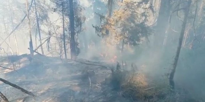 Artvin’de ormanlık alanda yangın