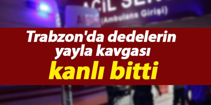 Trabzon'da dedelerin yayla kavgası kanlı bitti