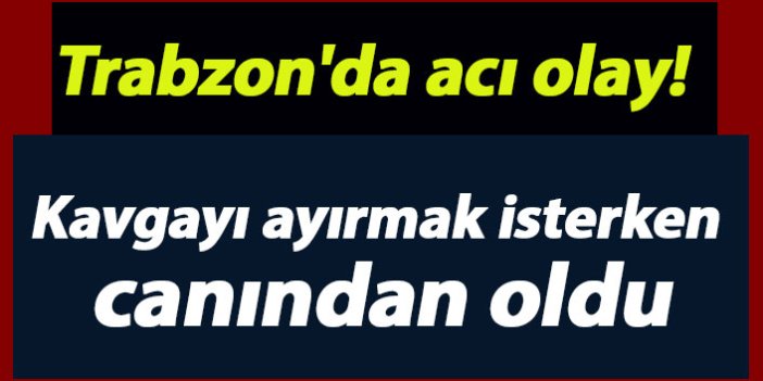 Trabzon'da acı olay! Kavgayı ayırmak isterken canından oldu