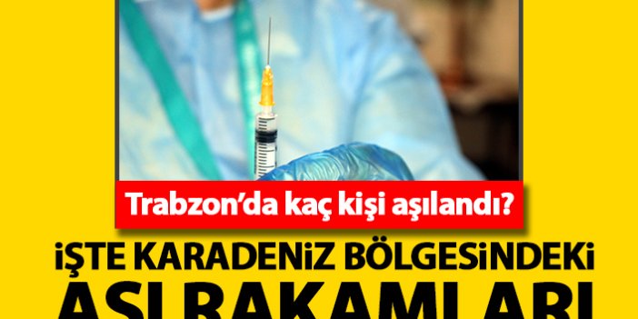 Trabzon'da kaç kişi koronavirüs aşısı oldu? Karadeniz Bölgesinde ise...