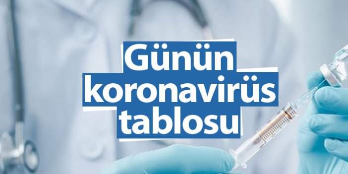 Türkiye'de günün koronavirüs raporu 16.06.2021