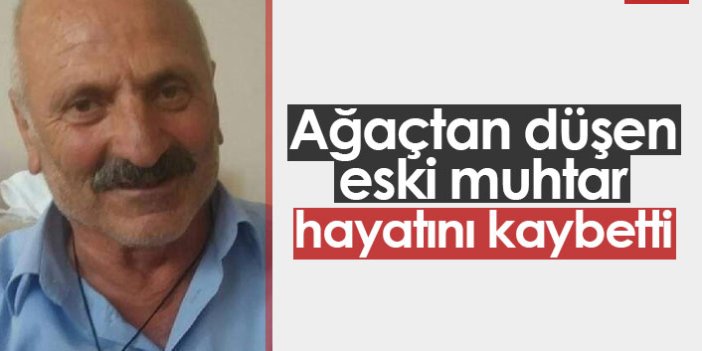 Trabzon'da eski muhtar ağaçtan düşerek öldü