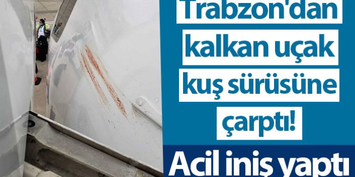 Trabzon'dan kalkan uçak kuş sürüsüne çarptı! Acil iniş yaptı