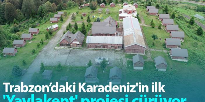 Trabzon'daki Karadeniz'in ilk 'Yaylakent' projesi çürüyor