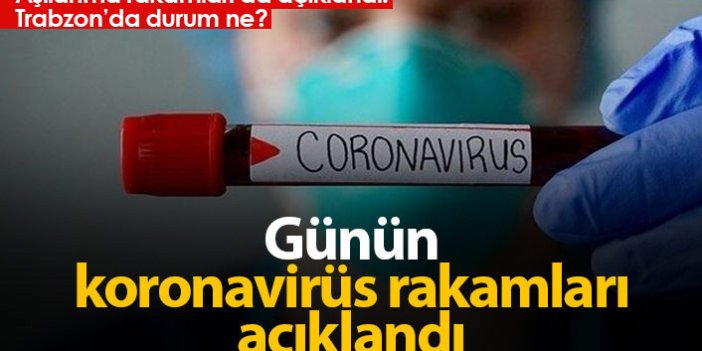 Türkiye'de günün koronavirüs raporu 04.07.2021