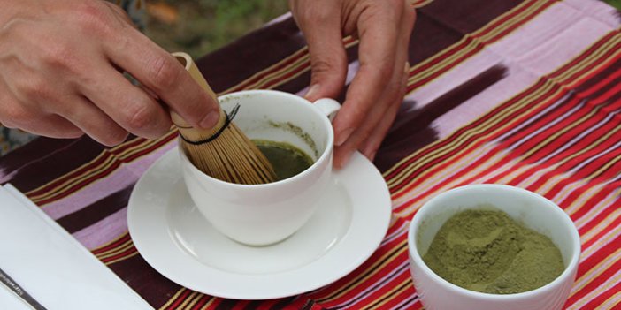 Karadeniz’in yeşil çay pudrasından ‘detoks çay’ı