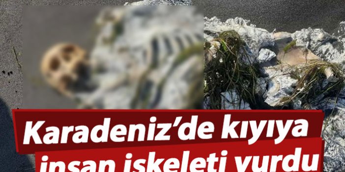 Karadeniz'de kıyıya insan iskeleti vurdu