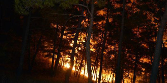 Mersin'de orman yangınından iyi haber!