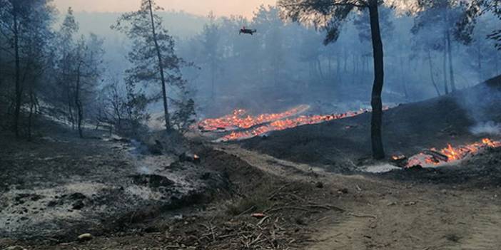 Kahramanmaraş'ta orman yangını - 20 Temmuz 2021