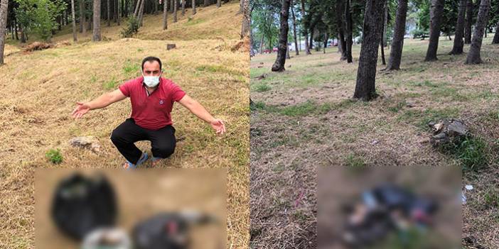 Trabzon'da nefes almaya gelenler iğrenç görüntü ile karşılaşıyor