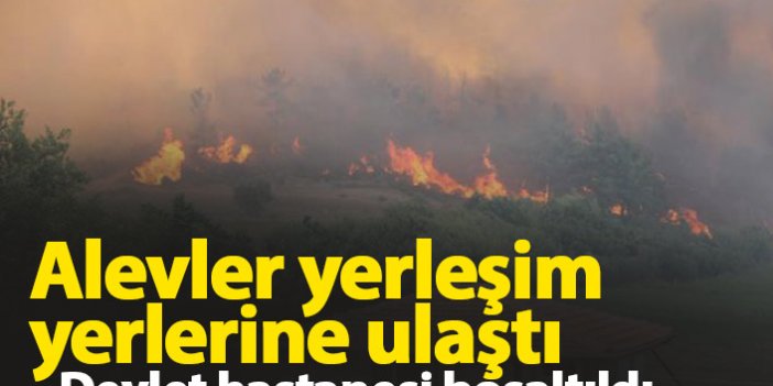 Manavgat'ta 4 ayrı noktada orman yangını çıktı! Devlet hastanesi boşaltıldı