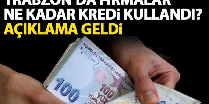 Trabzon'da firmalar ne kadar kredi kullandı?