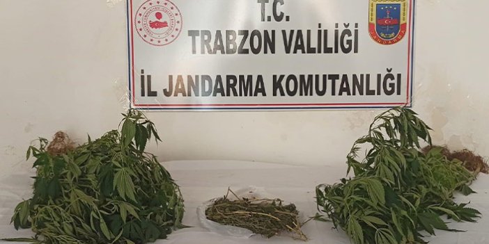 Trabzon’da uyuşturucu üreten şahıslar yakalandı