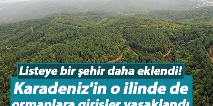 Karadeniz'in o ilinde ormanlara girişler yasaklandı