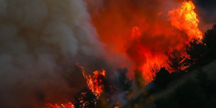 Orman yangınlarında neler yapılmalı? Orman Yangını le karşılaşınca yapılması gerekenler