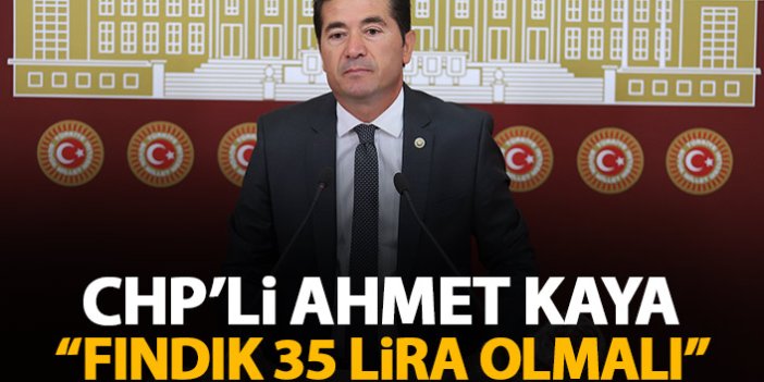 CHP'li Ahmet Kaya: Fındık fiyatı 35 lira olmalı