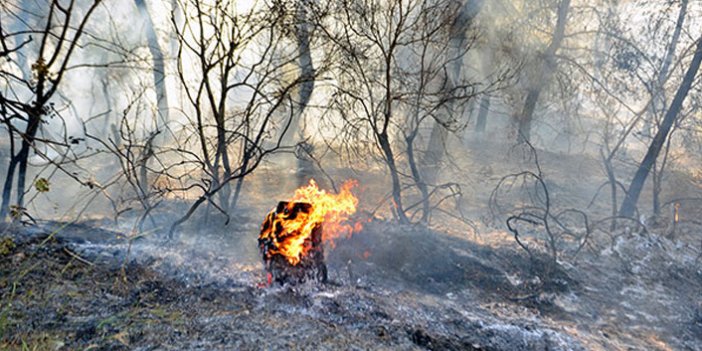 Rize'de ormanda ateş yakmak yasaklandı