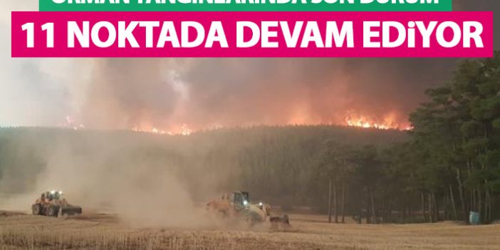 Türkiye'deki orman yangınlarında son durum! 11 noktada devam ediyor