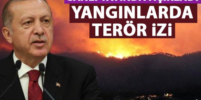 Cumhurbaşkanı Erdoğan açıkladı! Yangınlarda terör izi