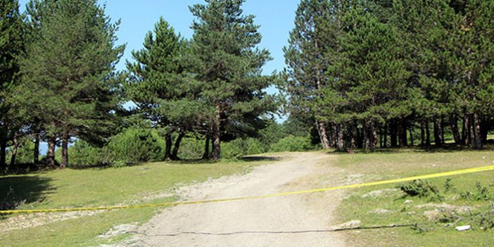 Ankara'da da ormanlık alanlara girişlere yasak