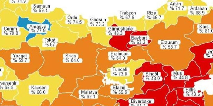Trabzon ve çevresinde aşılamada son durum!