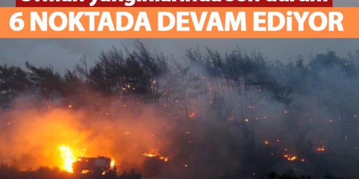 Türkiye'deki orman yangınlarında son durum! 6 noktada devam ediyor