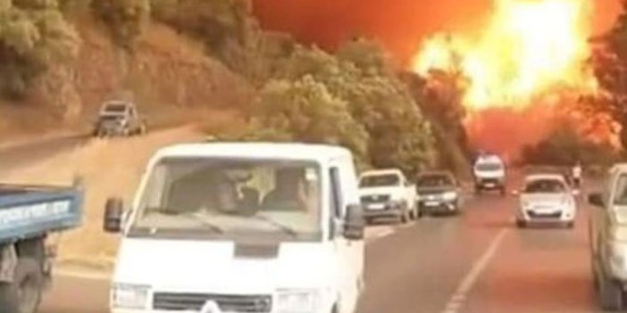 Cezayir'de orman yangını! 5 Asker öldü