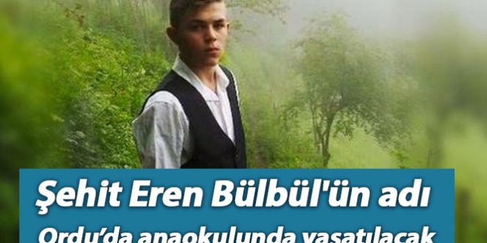 Eren Bülbül'ün adı Ordu'daki anaokulunda yaşatılacak
