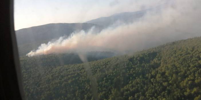 İzmir'de bugün sabah saatlerinde orman yangını çıktı. 14 Ağustos 2021