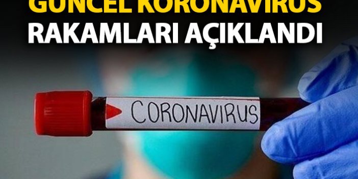 Güncel koronavirüs rakamları açıklandı! Vaka sayıları...