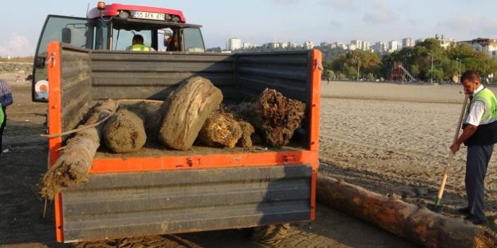 200 km sürüklenen tomruklar Samsun sahillerinde