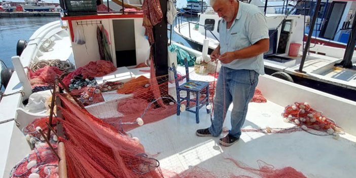 Deniz salyası Marmara balıkçılarının rotasını Karadeniz'e çeviriyor
