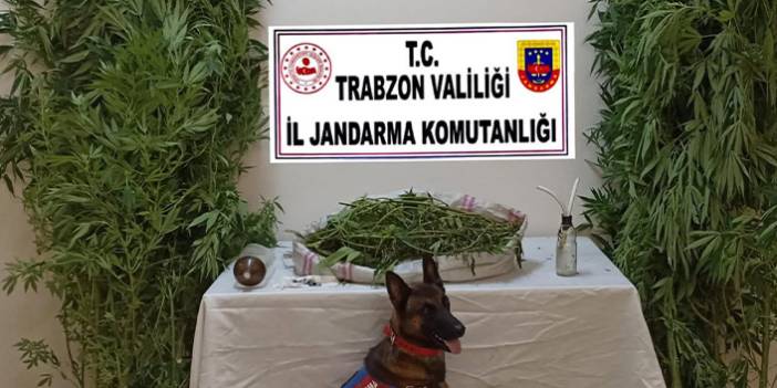 Trabzon’da uyuşturucu imalathanesine baskın. 25 Ağustos 2021