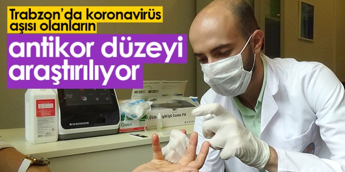 Trabzon'da aşı olanların antikor düzeyi araştırılıyor