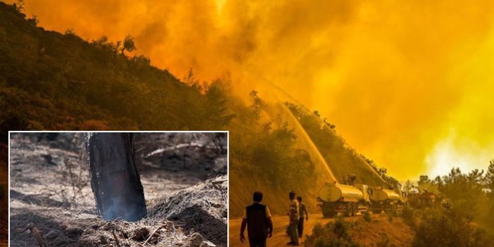 Antalya'da ormanlar için için yanmaya devam ediyor