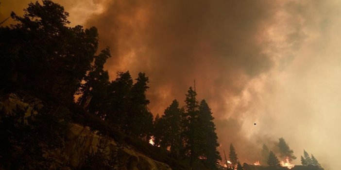 California'daki 'Caldor' yangınında ağır bilanço