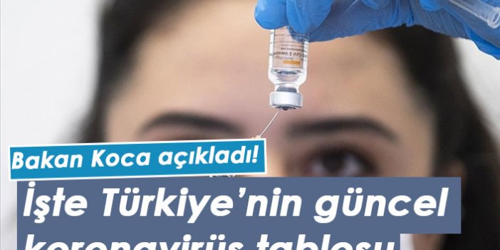 Türkiye'nin güncel koronavirüs tablosu açıklandı! 31.08.2021