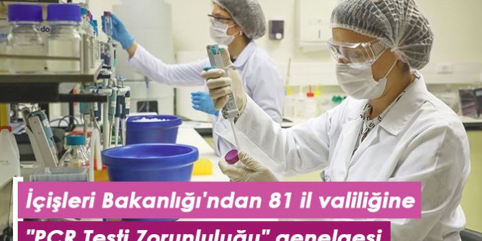 İçişleri Bakanlığı'ndan 81 il valiliğine "PCR Testi Zorunluluğu" genelgesi