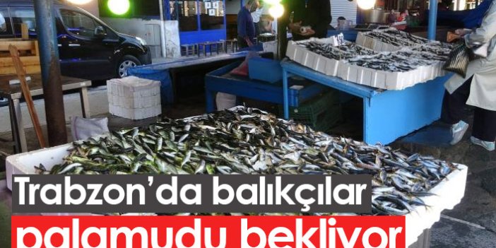 Trabzon'da balıkçılar palamudu bekliyor