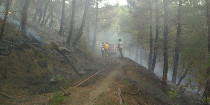 Balıkesir'deki orman yangını kontrol altında