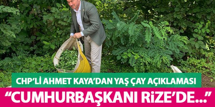 CHP’li Ahmet Kaya: "Yaş çay 2,40 TL Cumhurbaşkanı’nın derdi Millet İttifakı"