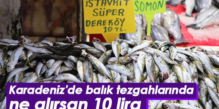 Karadeniz'de balık tezgahlarında ne alırsan 10 TL