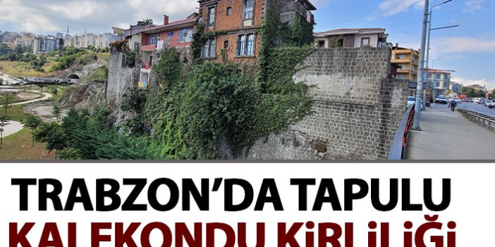 Trabzon'da tapulu 'kale kondu' kirliliği
