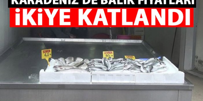 Karadeniz'de balık fiyatları ikiye katlandı